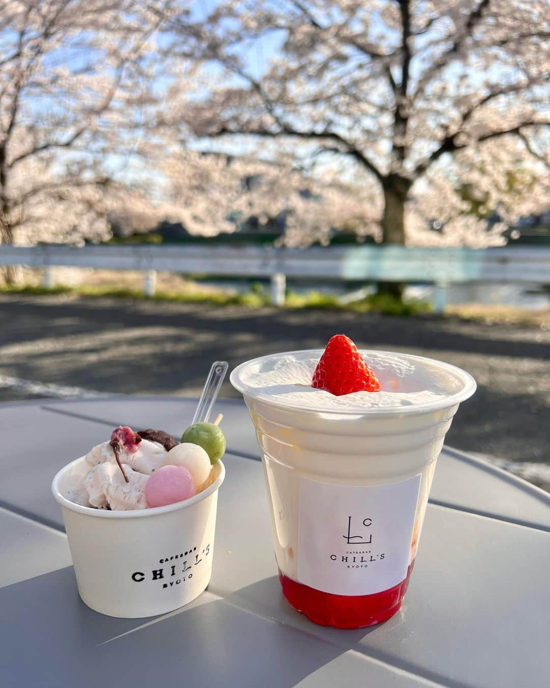 ののさんのインスタグラム写真 - (ののInstagram)「京都のカフェでお花見🌸 生いちごみるくと季節の桜のジェラートを注文 上賀茂神社から徒歩1分でテラス席は🐶もOKらしい  インスタで発見したカフェだけど桜の時期に行けて良かった  #京都カフェ#京都カフェ巡り#京都カフェ部#京都桜#京都桜巡り#京都桜スポット#桜#桜スイーツ#桜#お花見#上賀茂神社#賀茂川#鴨川#京都植物園#北大路カフェ#北大路ランチ#京都ランチ#チャールズアンドキース#エモダ#ユナイテッドトウキョウ#バケハ#バケハコーデ #unitedtokyo#charlesandkeith#emoda#chillskyoto」3月30日 7時20分 - nonoko0309