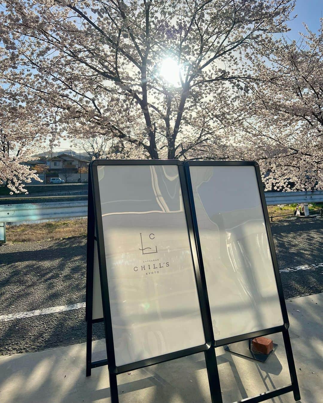 ののさんのインスタグラム写真 - (ののInstagram)「京都のカフェでお花見🌸 生いちごみるくと季節の桜のジェラートを注文 上賀茂神社から徒歩1分でテラス席は🐶もOKらしい  インスタで発見したカフェだけど桜の時期に行けて良かった  #京都カフェ#京都カフェ巡り#京都カフェ部#京都桜#京都桜巡り#京都桜スポット#桜#桜スイーツ#桜#お花見#上賀茂神社#賀茂川#鴨川#京都植物園#北大路カフェ#北大路ランチ#京都ランチ#チャールズアンドキース#エモダ#ユナイテッドトウキョウ#バケハ#バケハコーデ #unitedtokyo#charlesandkeith#emoda#chillskyoto」3月30日 7時20分 - nonoko0309