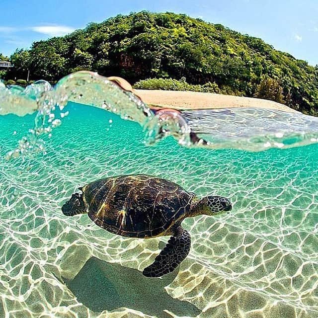 ✈MyTravelGram™のインスタグラム