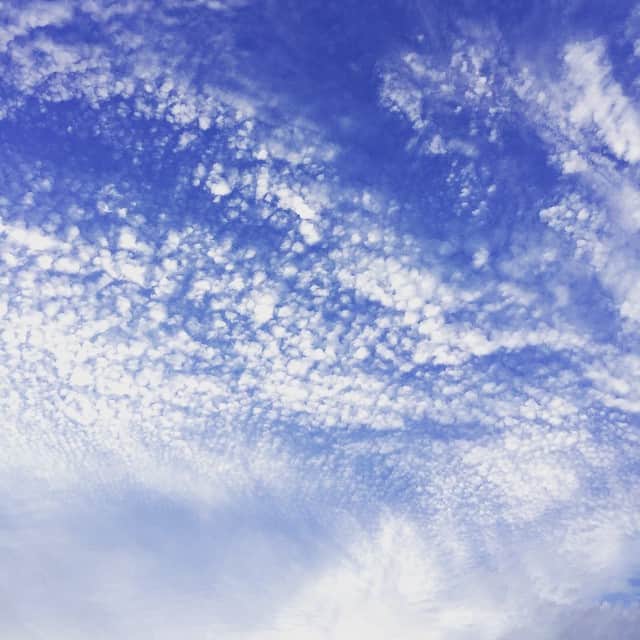 大友愛さんのインスタグラム写真 - (大友愛Instagram)「雲が変…… お留守させておくのが怖いからコテさんも一緒にバレーのお迎えへ！！！ #秋本family  #地震雲」5月25日 18時30分 - ai_dayooon