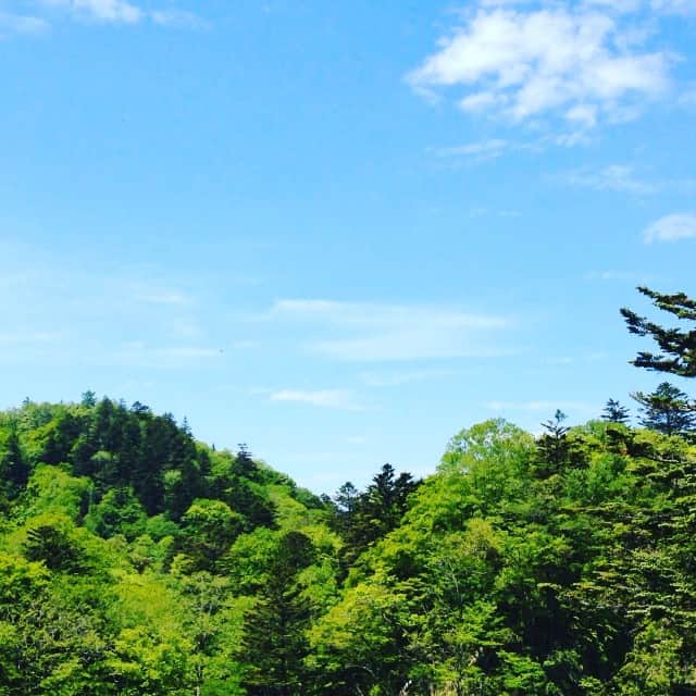 Myeのインスタグラム：「Kegon falls cascades down 97meters!! 華厳滝は97mの高さだって‼︎ #華厳滝 #kegonnotaki #日光 #Nikko #Japan #滝 #waterfall」