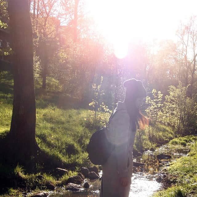 高圆圆のインスタグラム：「🌿🌳」