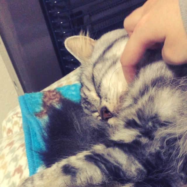 奥山レイカのインスタグラム