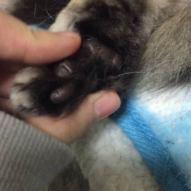 奥山レイカのインスタグラム：「起きた」