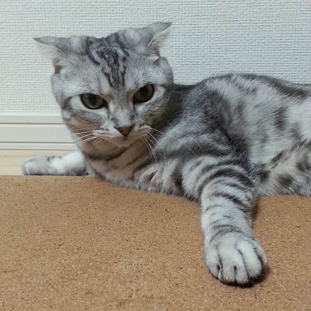 まるのインスタグラム
