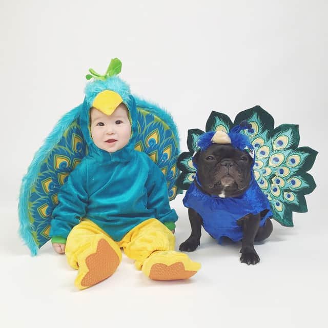 Trotterのインスタグラム