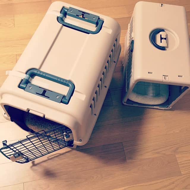 MEGのインスタグラム：「今日は全然できてなかった、不要なものを捨てたり、今ある荷物をまとめる日に。ほとんどの靴や向こうでは使わない小物は、この夏ローンチされる新しいＣtoＣアプリの立ち上げに提供することに。これは本当に良いサービスだから、またそのタイミングが来たらお知らせするね。部屋の中がスッキリしてきたぜ。#リウさんの移動箱を規定に合わせて大きいのに買い直した #完全に犬用」