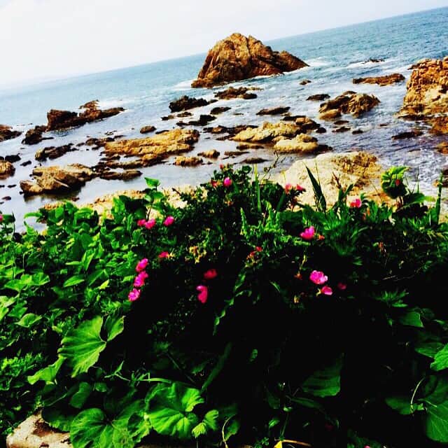 平野歩夢さんのインスタグラム写真 - (平野歩夢Instagram)「日本海🌊」6月7日 19時08分 - ayumuhirano1129
