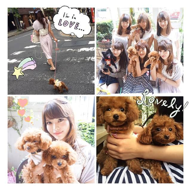 小沼瑞季さんのインスタグラム写真 - (小沼瑞季Instagram)「犬会してきた💗ぷぅちゃん、わんこと初めて絡んだけどしっぽ振って喜んでたので安心◡̈♥︎おじゃるに吠えられてもおかまいなしwwwそして初めて地面に降ろしたんだけどしっかり歩いてくれたよ😂💕💗良い子や...😭✨✨まま嬉しい...💗💗 #teacuppoodle#toypoodle#dog#ティーカッププードル#トイプードル#チワパピ#ポメラニアン#ぷりむ#にゃんこ#おじゃる#あむ#犬会#dog会#女子会#わんこ癒やし#ぷぅちゃんお疲れ様」6月7日 19時01分 - mizukikonuma