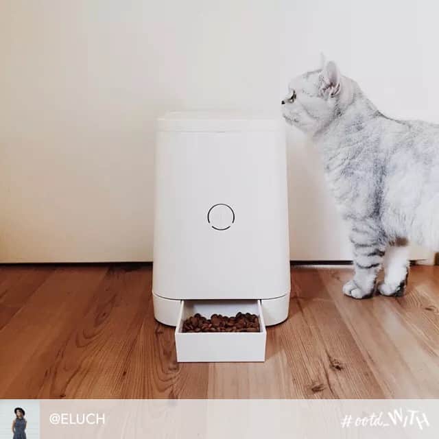 PETLYさんのインスタグラム写真 - (PETLYInstagram)「#regram @eluch #via @ootd_WITH: Thanks @petly_jp for lovely Christmas gift! My cats love this automatic feeder! 😻❤️😽」6月8日 22時47分 - petly_jp