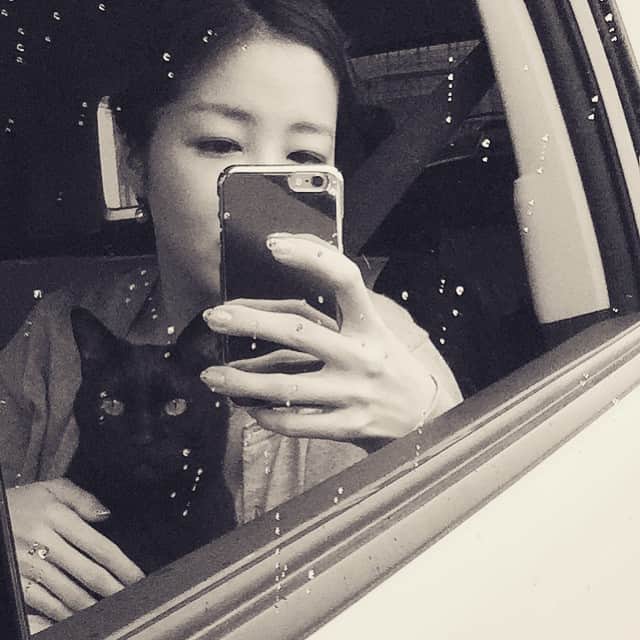 MEGのインスタグラム：「リウさんの出国手続きで動物検疫所に。出発前だとバタバタしそうなので。無事にパス、これで問題なく飛行機に乗れそうです。#blackcat #出国」