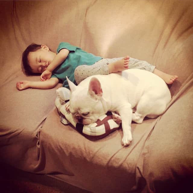 ムーとたすくのインスタグラム：「G'night☆」