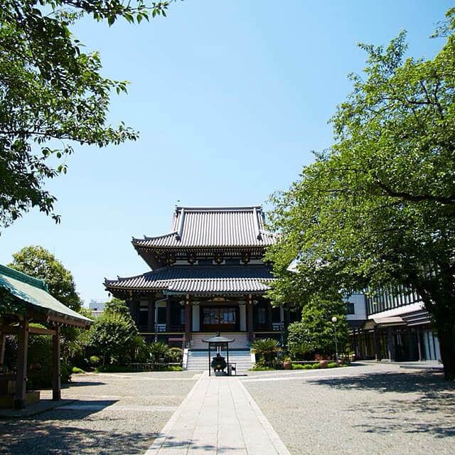 LIMOTAXI by tokyo-taxiのインスタグラム：「#omotesando #japan #tokyo #tokyotaxi #limotaxi #taxi」