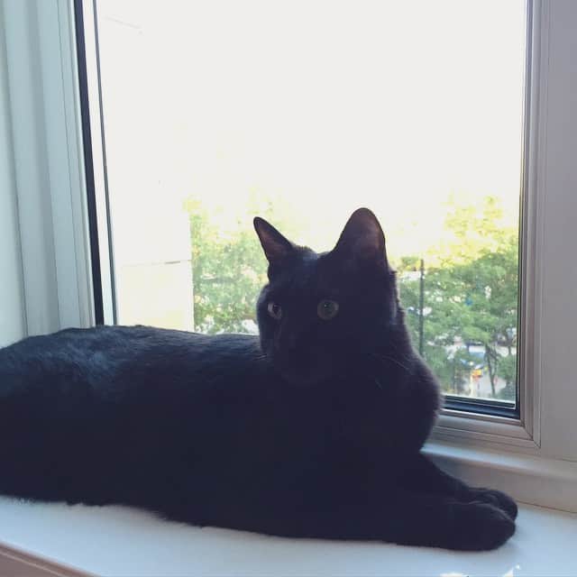 MEGのインスタグラム：「とりあえず、引っ越しまでの仮住まいに無事に着きました。#疲れたね #頑張ってくれた」