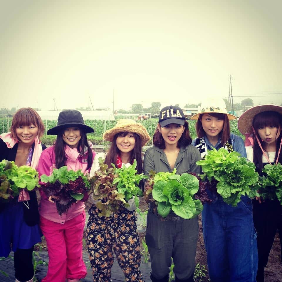 花井美理のインスタグラム：「It was me watching broadcast , thank you everyone . It was harvested lettuce ! ! #myfarmerchannel #niconico  #oshino #lettuce」