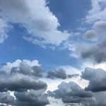 リコ のインスタグラム