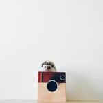 pig x mü x pan Instagram