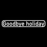 Goodbye holiday Instagram