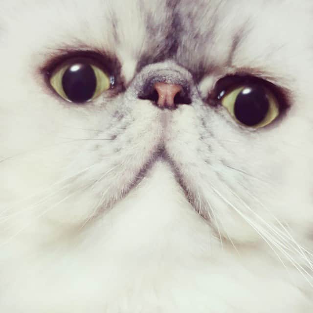 ♡マム♡のインスタグラム：「. . あっぷぷ♡ . .」