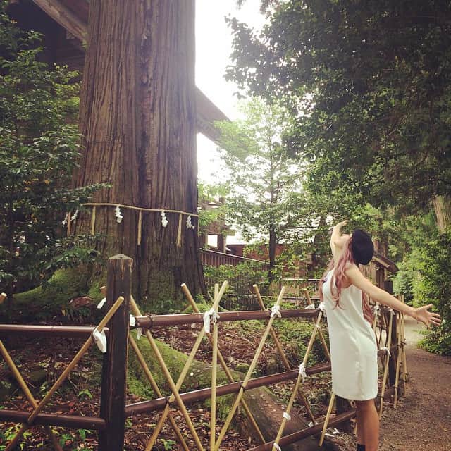 YU-Aさんのインスタグラム写真 - (YU-AInstagram)「#須佐神社 #大杉 #樹齢1300年 #出雲 #島根 #緑 #パワー  #ジョシスタ  #抱きしめてー ♡」6月22日 17時00分 - yua_official