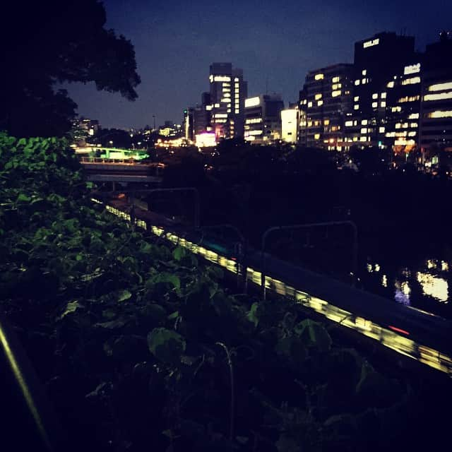 稲葉剛のインスタグラム：「今日の夜回りは、飯田橋、市ヶ谷、竹橋を歩きます。いまは外濠公園。」