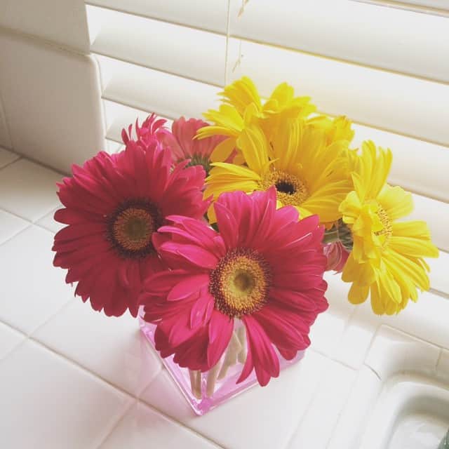 宮里藍さんのインスタグラム写真 - (宮里藍Instagram)「Feel more happy when I have flowers at home🌸🌼🌺🌻💐 #flowers #livecolorfully #lovebeinghome #happy お家にお花があるだけで幸せに☺︎❤️ #花 #ガーベラが一番好き #人生に彩りを #買いすぎて家中花 ❤️」7月2日 5時58分 - ai_miyazato