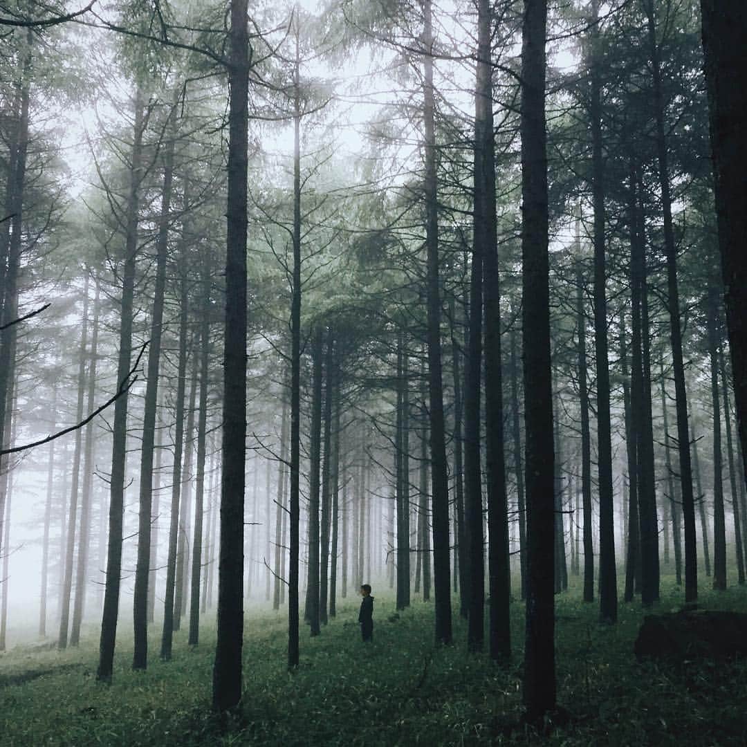 keiichiro fujitaのインスタグラム：「@coji_n / #RECO_長野」