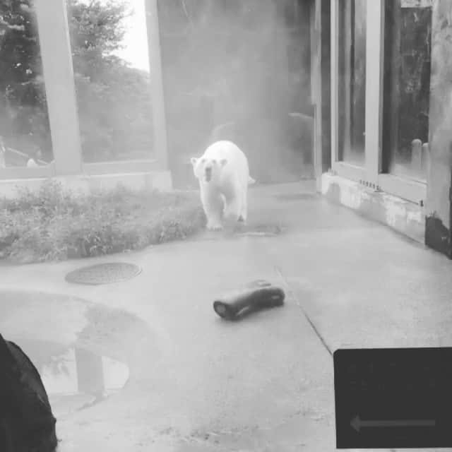なかがわりょうのインスタグラム