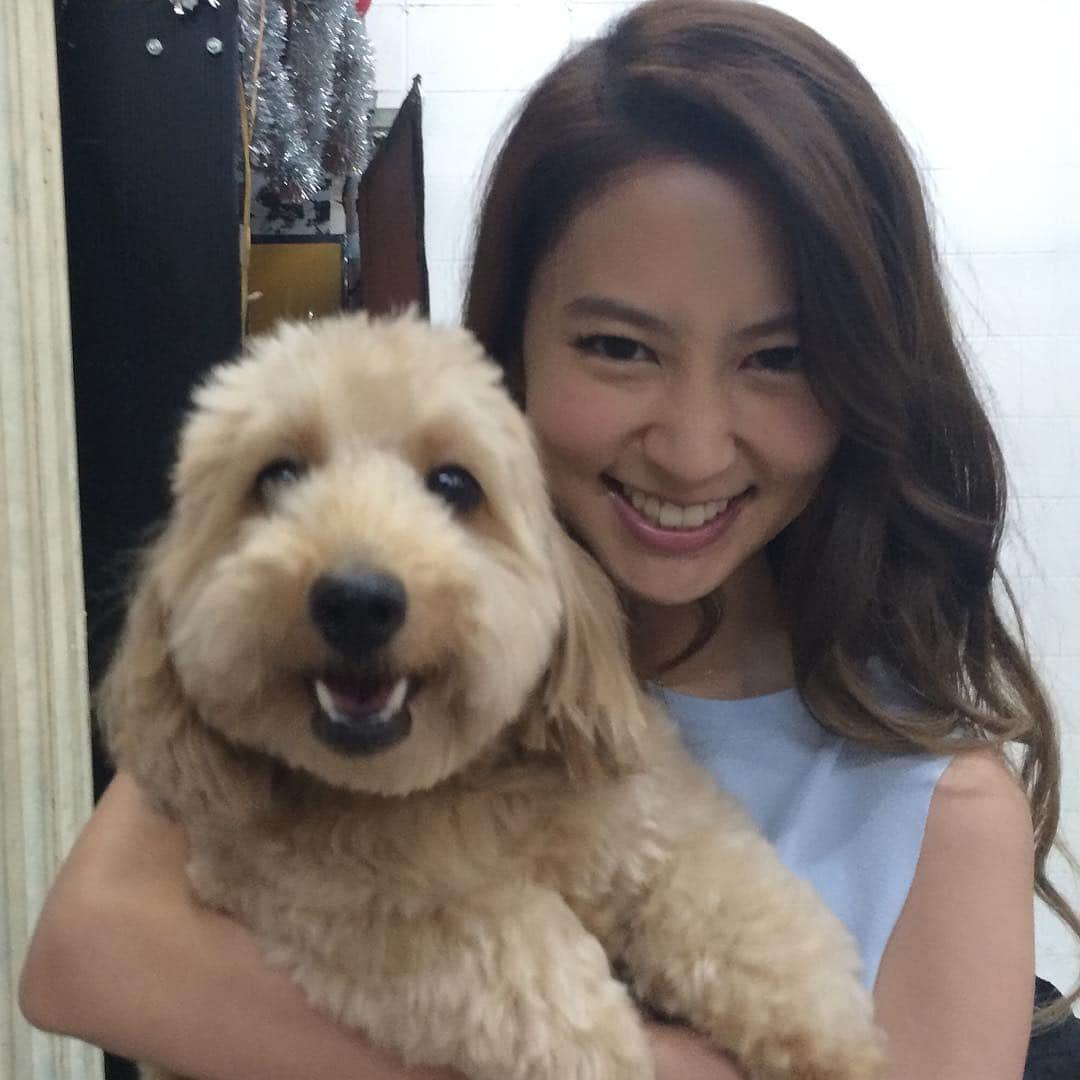 河北麻友子さんのインスタグラム写真 - (河北麻友子Instagram)「🐶 #CoCo #MyBabyyy #MayukoKawakita #河北麻友子」7月6日 16時17分 - mayukokawakitaofficial