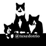Tuxedo Cat Brosのインスタグラム