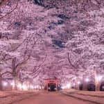 zekkei_ibarakiのインスタグラム