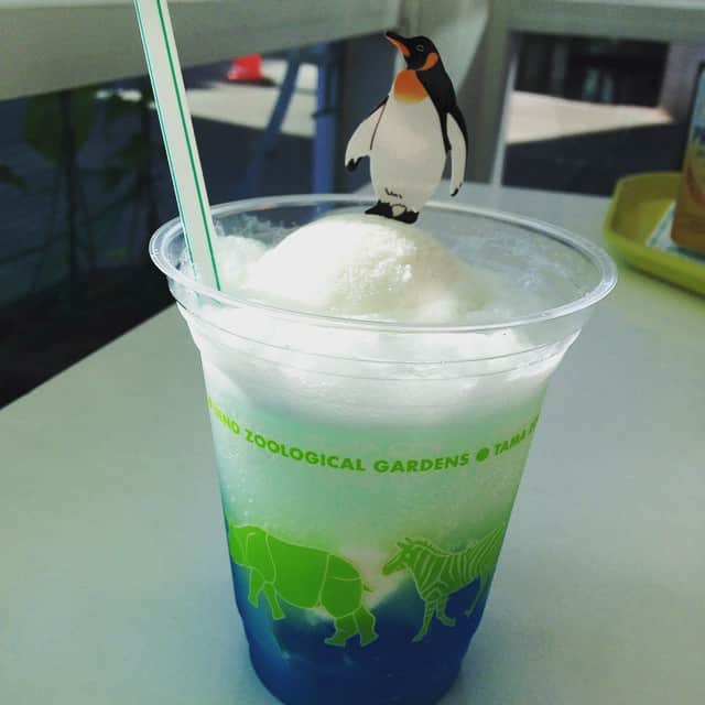 加藤美優のインスタグラム：「葛西臨海公園の流氷スムージー⭐︎🌊」