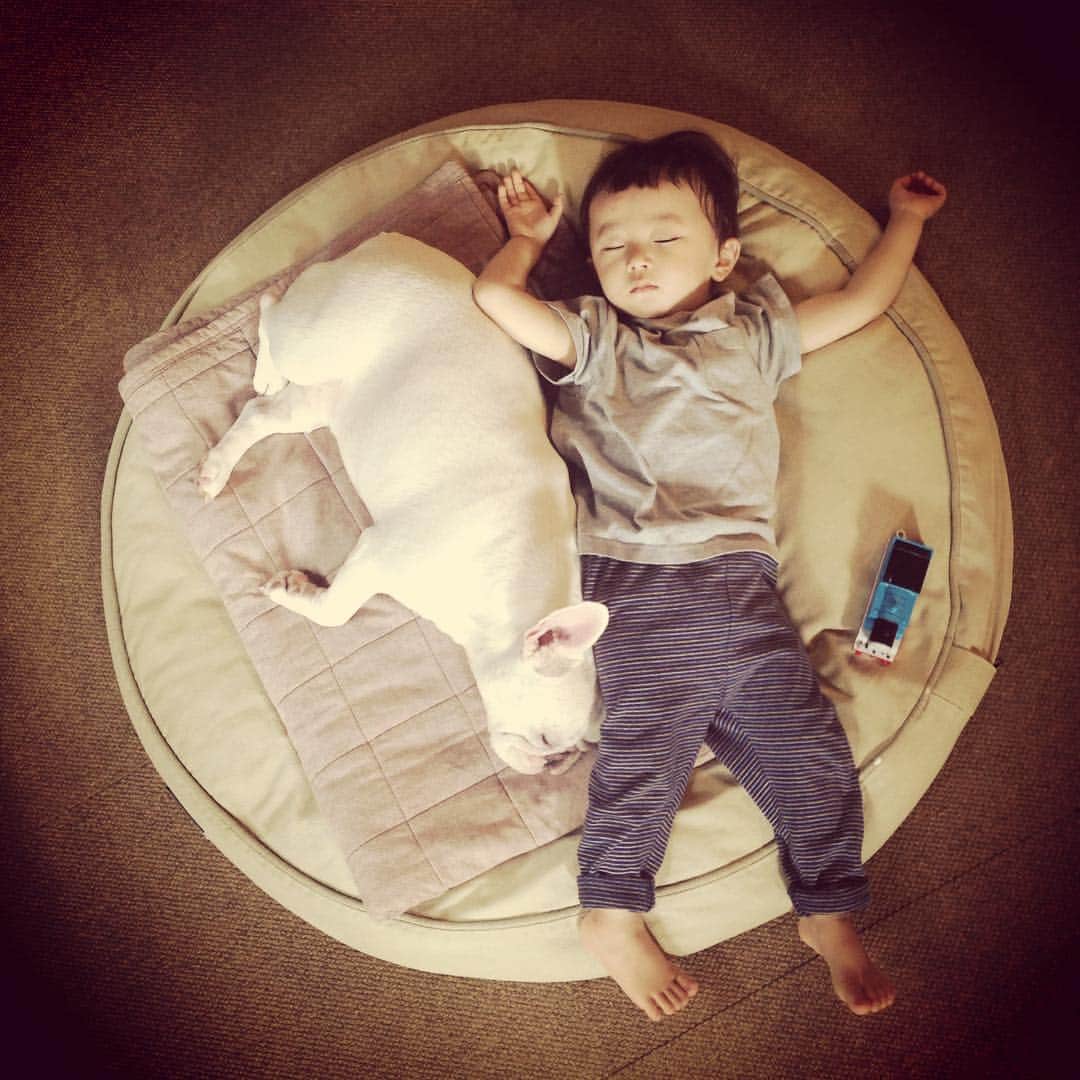 ムーとたすくのインスタグラム：「😪💤」