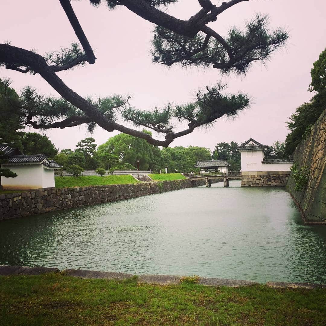 辰巳奈都子さんのインスタグラム写真 - (辰巳奈都子Instagram)「台風11号直撃していますが..京都に来てます。」7月17日 21時01分 - tatsumi_natsuko