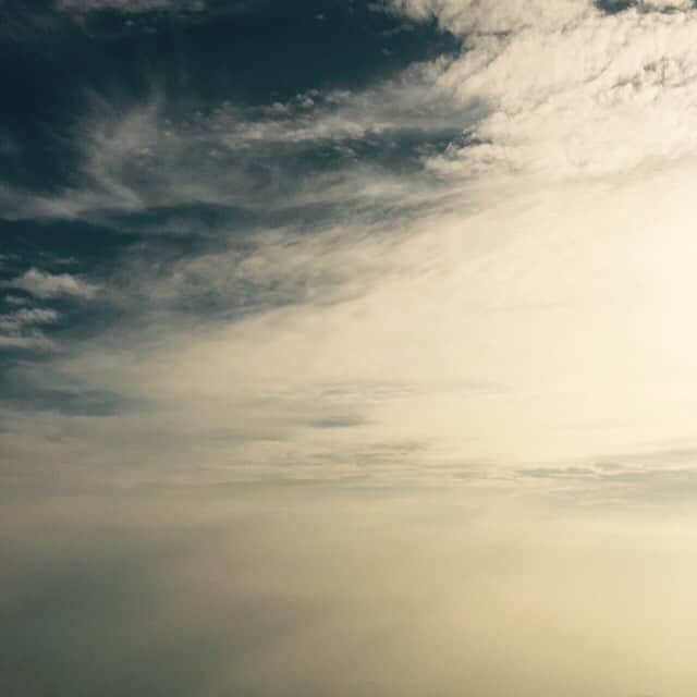 ソン・イェジンさんのインスタグラム写真 - (ソン・イェジンInstagram)「나.바람.#자유.」7月19日 19時18分 - yejinhand