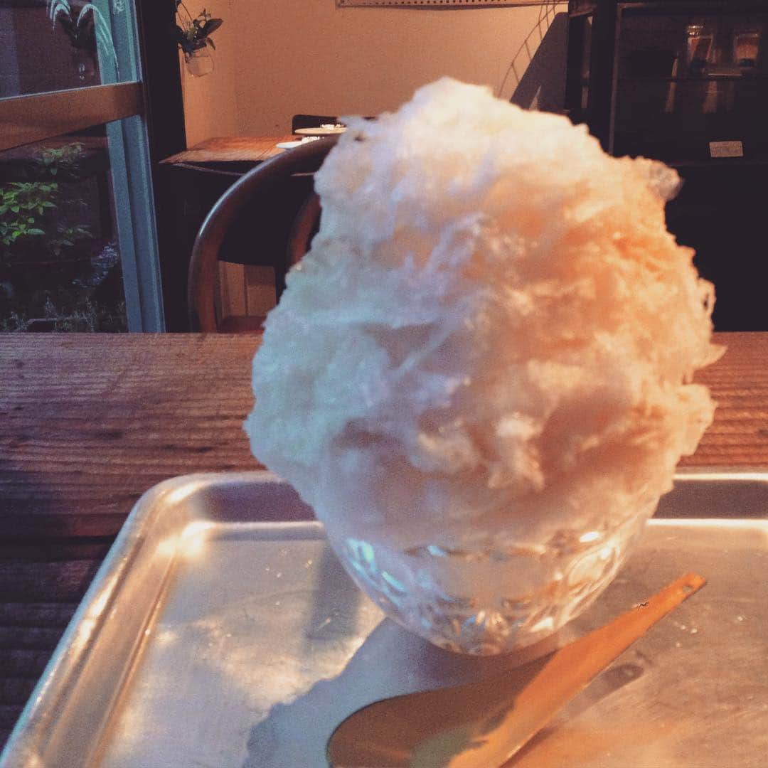 小堀紀代美のグルメインスタ