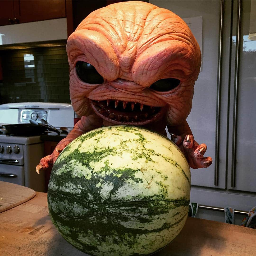 Miloのインスタグラム：「Mmmm brains! I mean...watermelon. #summerproduce」