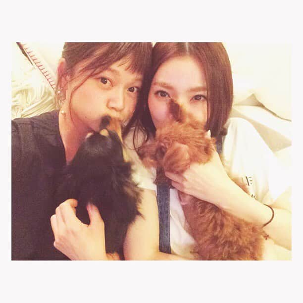 高山直子さんのインスタグラム写真 - (高山直子Instagram)「犬犬会 美女と犬たち わたしは犬になりたい  #ユユコロタ#ナオコロタ#美女#藤井明子#チワックス#トイプードル#ゆゆちゃん#コロ太#スーパーコロ太開花#高山家#犬会#高山会」7月28日 20時54分 - nao_70koro