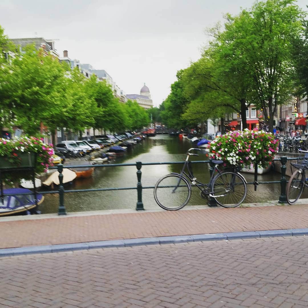 マイケル・ブラマンテのインスタグラム：「Lesson 1 to make the best of a bad situation. If your plane is canceled and you are stuck overnight, just hope it happens to you in Amsterdam.  #amsterdam #netherlands #delta #beautiful #newplaces」