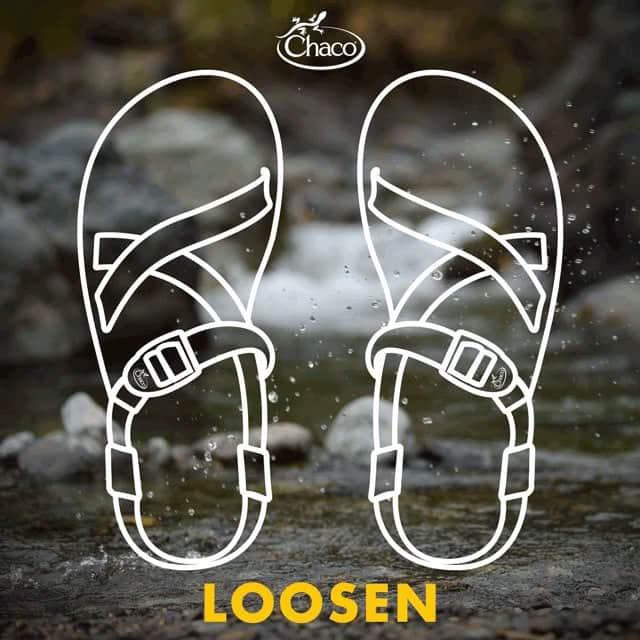 チャコのインスタグラム：「すでにチャコ焼け。あなたの焼け具合はどう？ #Chaco #チャコ #aandf #エイアンドエフ」