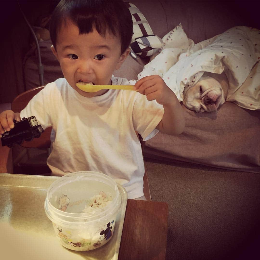 ムーとたすくのインスタグラム：「G'mng🍂🍄 むーさん、難治性角膜潰瘍の治療を頑張ってます👀🏥」