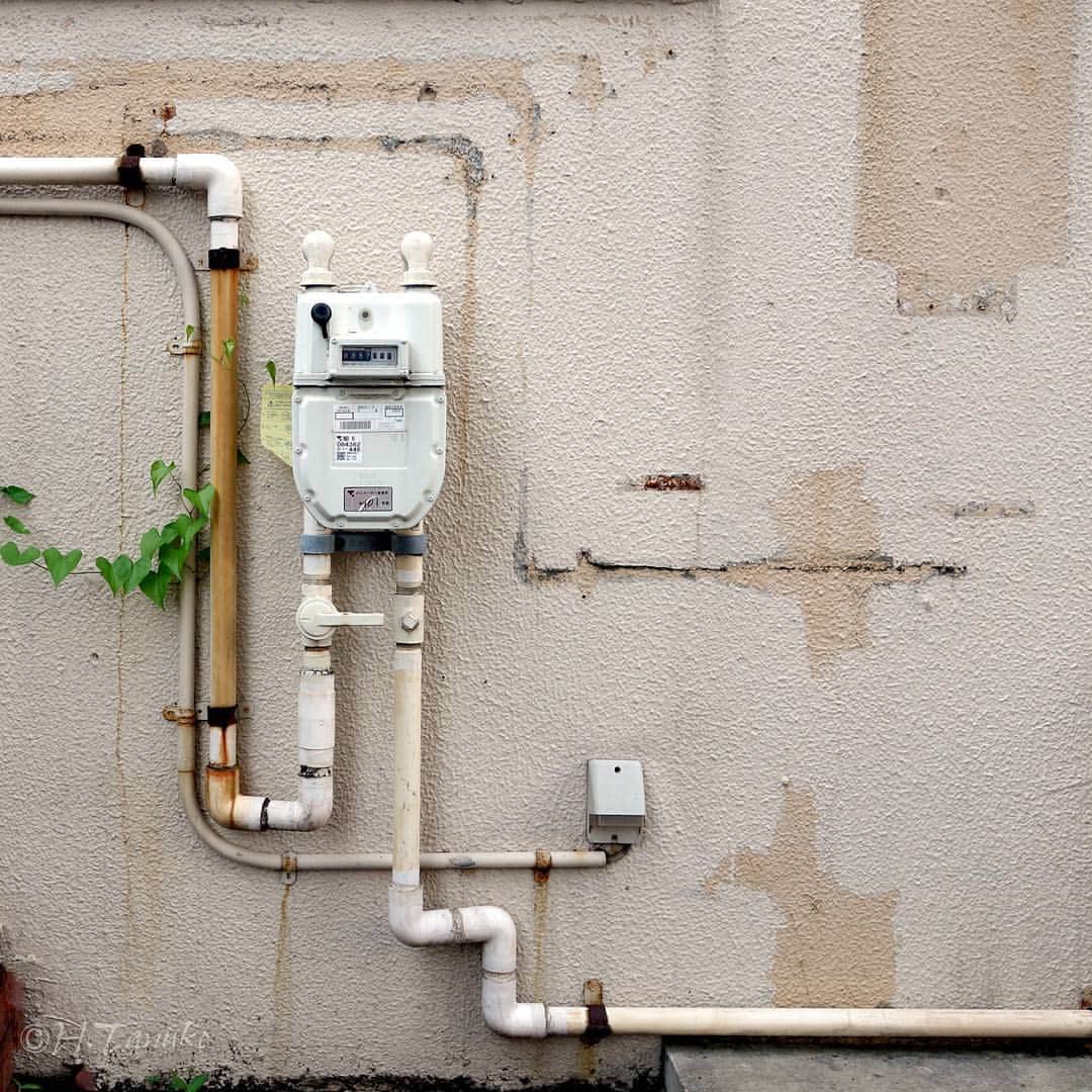 たぬこのインスタグラム：「location: Kanagawa, Japan」