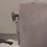 あのちゃんのインスタグラム