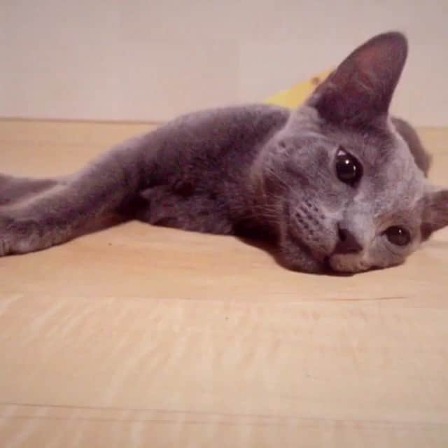 イ・ソンギョンのインスタグラム