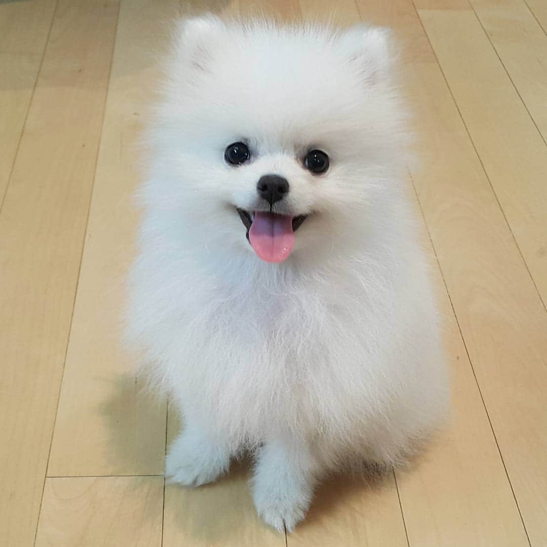 thesoy_yoonsoのインスタグラム
