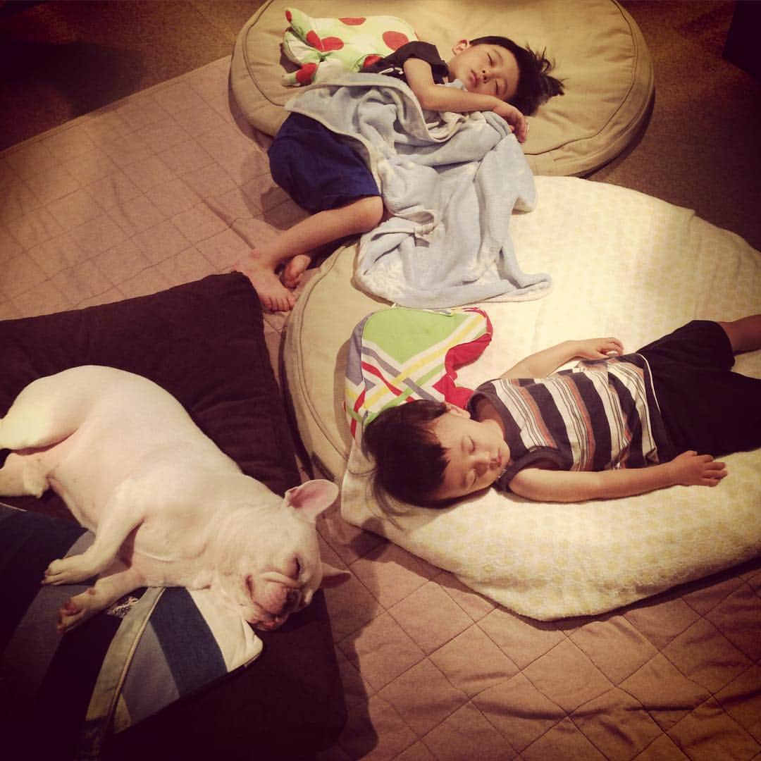 ムーとたすくのインスタグラム：「G'night☆」