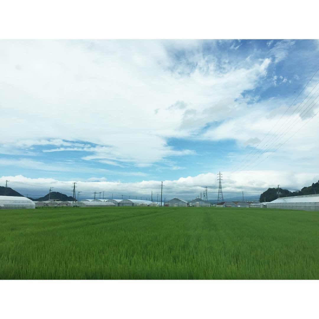 黒沢祐子さんのインスタグラム写真 黒沢祐子instagram 朝早くから来た伊豆長岡 お祓いをして ビールを飲んで うなぎを食べて温泉に入り 足裏マッサージを受けて最高 住職からのお話はいろいろと勉強になりました 伊豆長岡 温泉 8月18日 15時30分 Yukowedding