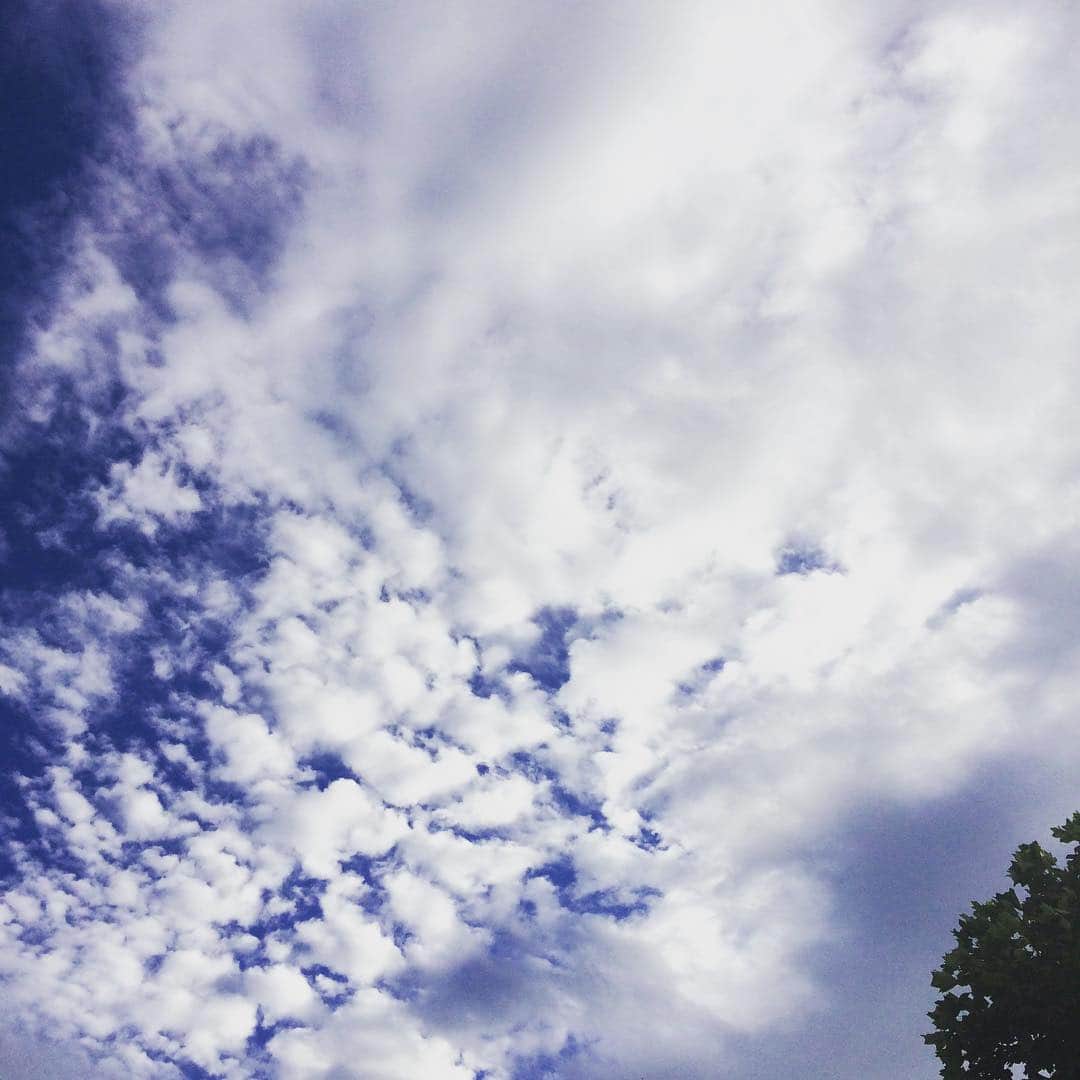 紫彩乃さんのインスタグラム写真 - (紫彩乃Instagram)「綺麗な雲です。」8月18日 6時48分 - murasakiayano