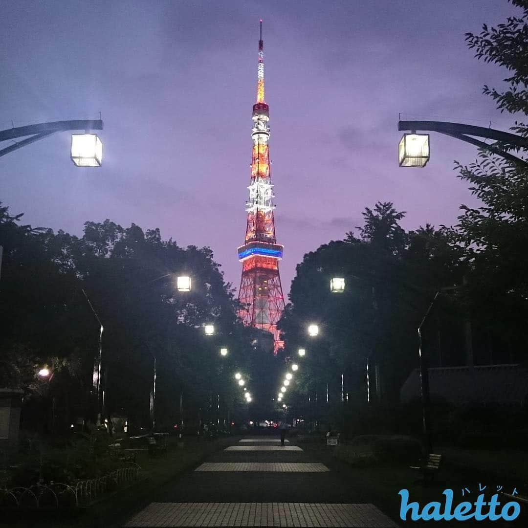 haletto編集部のインスタグラム：「「#東京のここが好き 」キャンペーンの【CHINTAI TOKYO DISTRICT賞】に @saizoukun様のお写真を選ばせていただきました！✨🎉🗼おめでとうございます！  ラジオ番組J-WAVE、@jwave_ctd さんからのコメントです！  今も昔も、変わらず東京の代名詞と言える東京タワー！夕焼け空がちょうど終わる瞬間で、空の色合いと東京タワーのライトアップがここまで幻想的に撮れているのは素晴らしい！これからも東京のシンボルとして輝き続けてほしいですね^^ ＊ 素敵なお写真ありがとうございました！✨📻😁@saizoukun様には後ほどダイレクトメッセージでご連絡させていただきます！  #東京のここが好き #東京の魅力再発見 #こんな東京が好き #東京風景 #tokyomoyo #tokyolife #tokyo #東京 #はれっと #haletto」