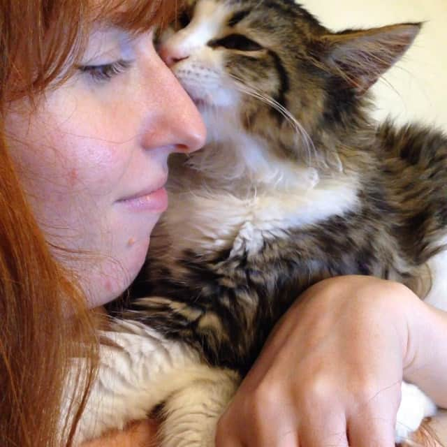 Rachel & Junのインスタグラム：「Thank you everyone for your considerate comments and kind words. Since today is Hina's funeral ceremony we're sharing our memories of her. Sorry for our cat picture spam. For some reason she loved giving me tongue baths--really, really thorough baths! They'd last 5 or 10 minutes and she'd just sit there and go up in down in lines on my arms or face (or whatever she could get to). I usually got two of these a day. :)」